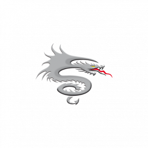 Logo Drache Dental-Technik GmbH