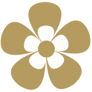 Logo MKG Dr. Dr. Norman von Sternberg