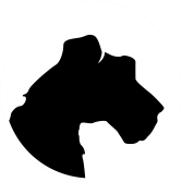 Logo Nick & Nora