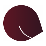 Logo Zahnarztpraxis Friedrichsberg - Dr. Lisa Peters & Dr. Johannes Heil